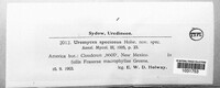 Image Associated With the Occurence